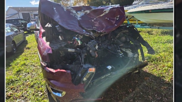 Two Women Sustain Minor Injuries After Jeep Hits Water Buffalo in Stockholm, New York