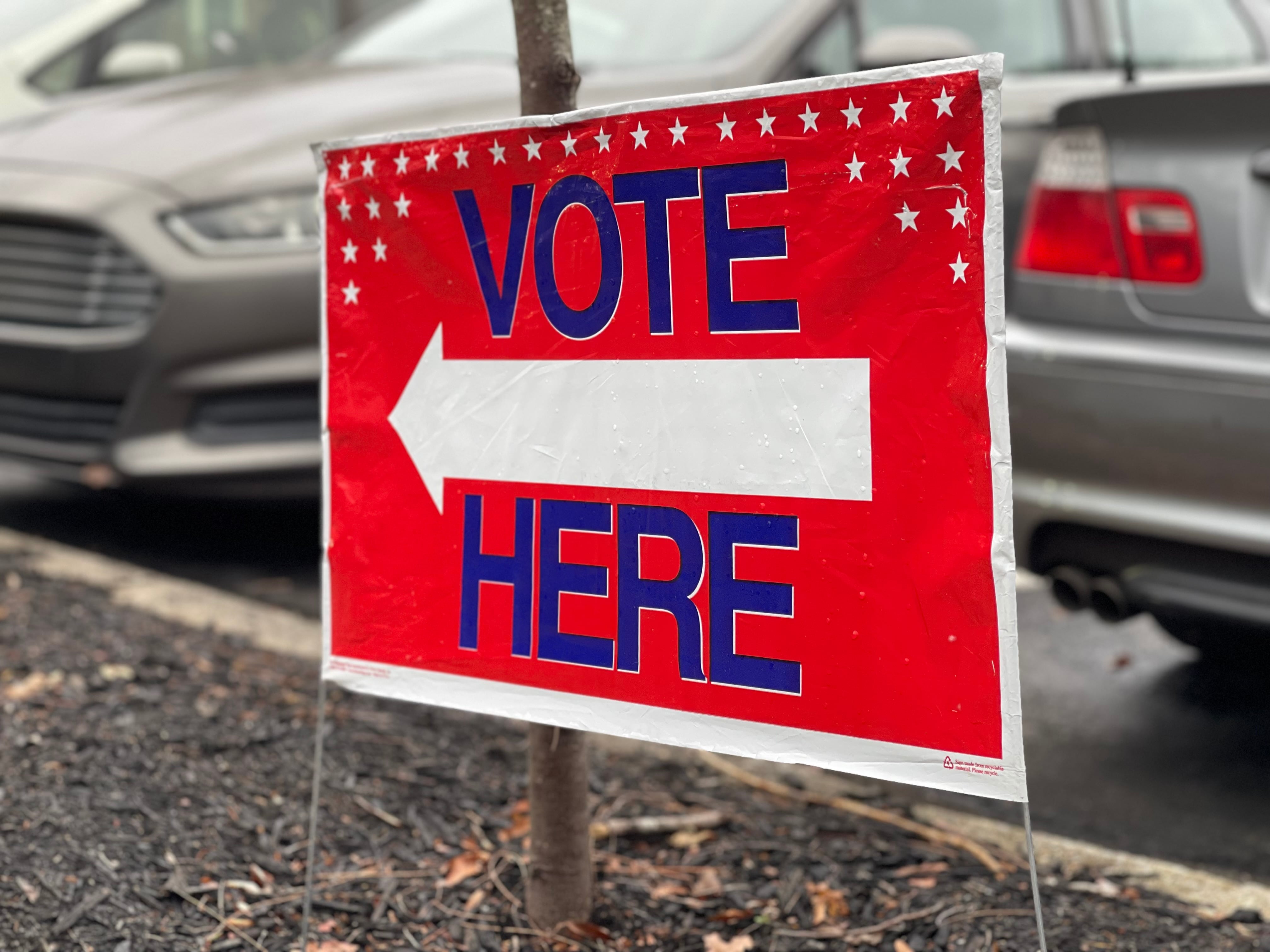Georgia Nears One Million Early In-Person Votes After Record Start