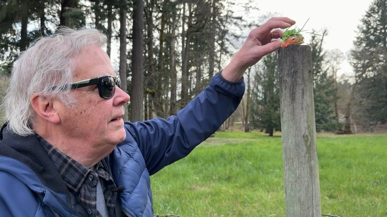 Artist Phillip Roberts Has Hidden Thousands of Painted Rocks in Tualatin Park