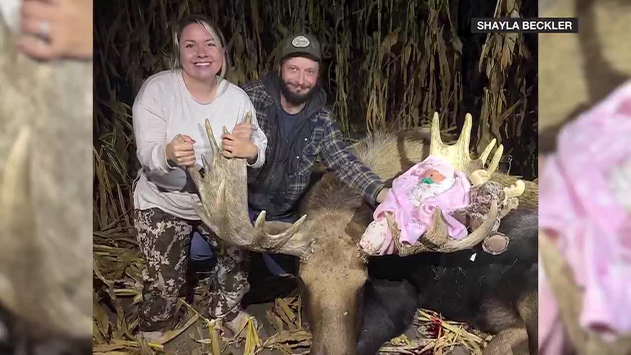 Beulah Woman Hunts Moose Four Days After C-Section Birth