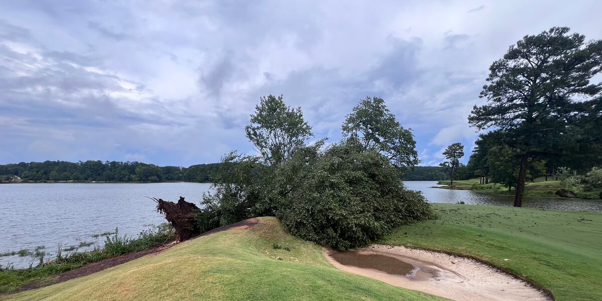 Trees fall at Cobb County golf course during Saturday storms, officials say