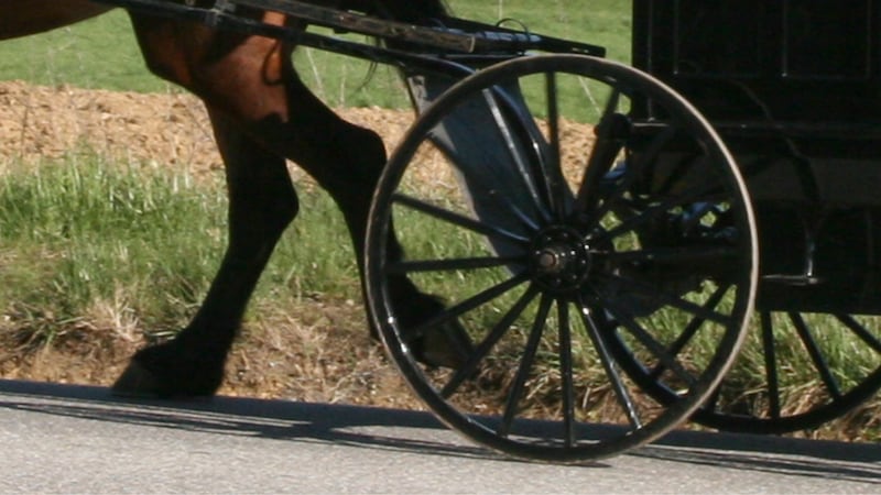 FILE - horse and buggy