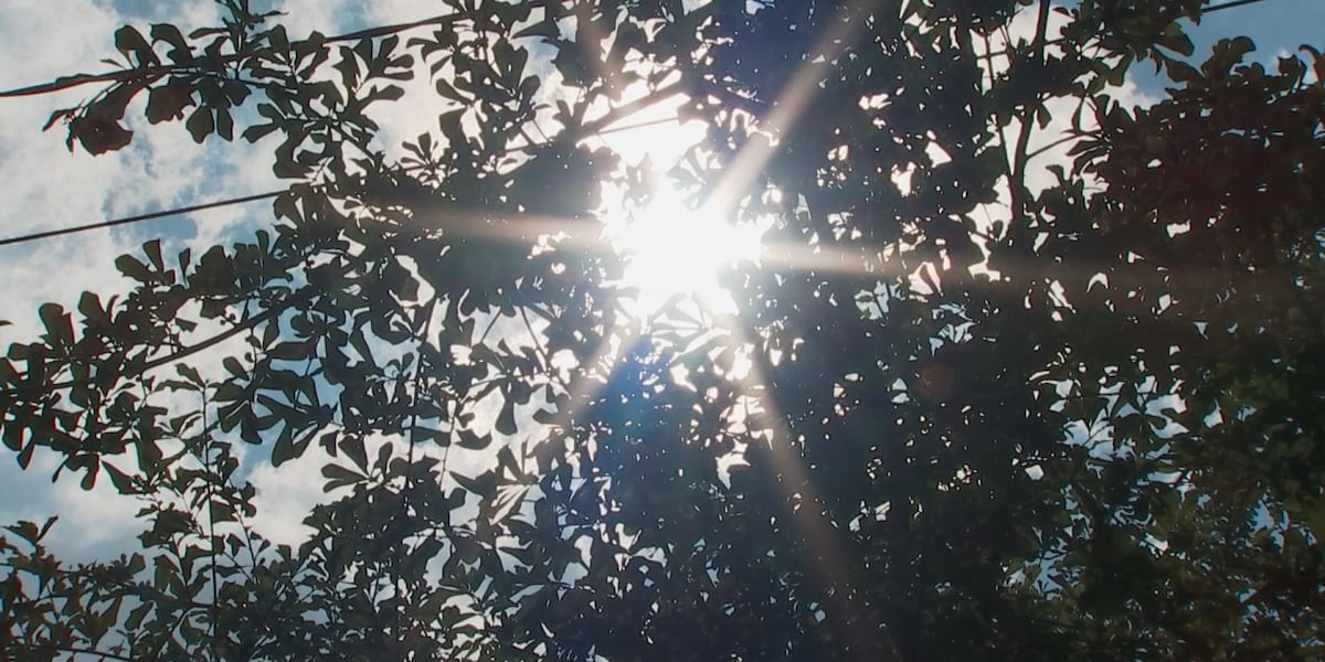 Atlanta City Council member proposes citywide heat safety plan as temperatures climb