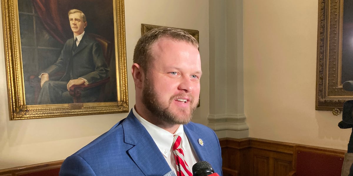 Georgia Bill to reduce prison terms for domestic violence will survive on the way to the law