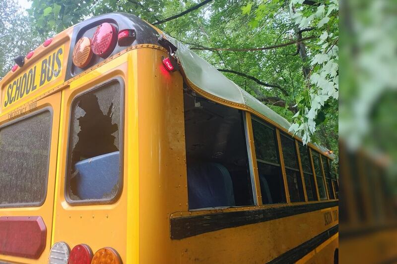 North school bus crashes into tree, injuring students on board
