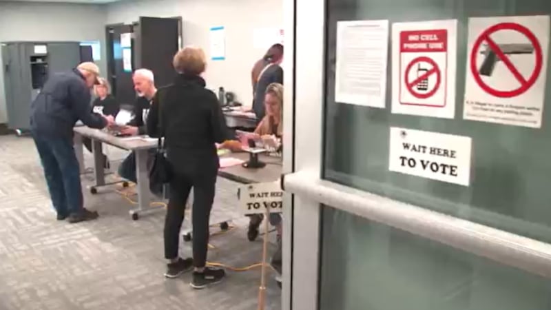 2024 Georgia primary