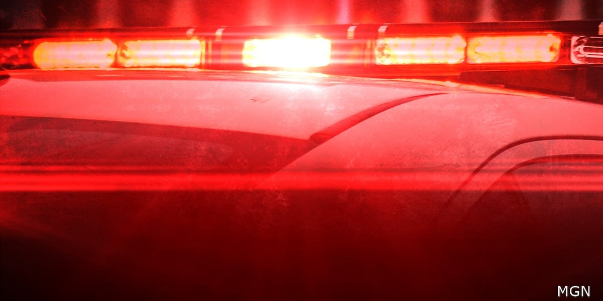 14-year-old girl hospitalized after being hit in head by golf club; arrests made, Newnan police say