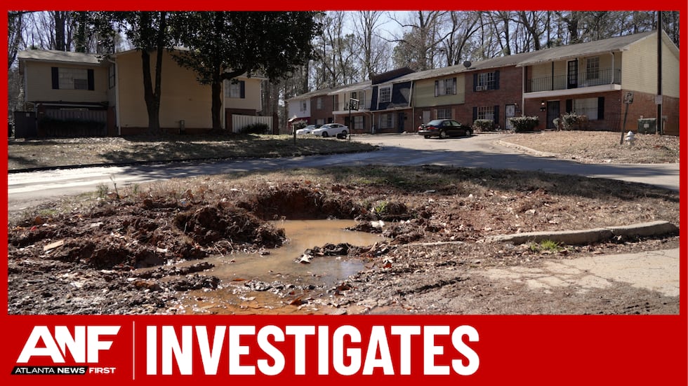 Several large dumpsters sit in all corners of the Whitehall Forest community, piled with trash...