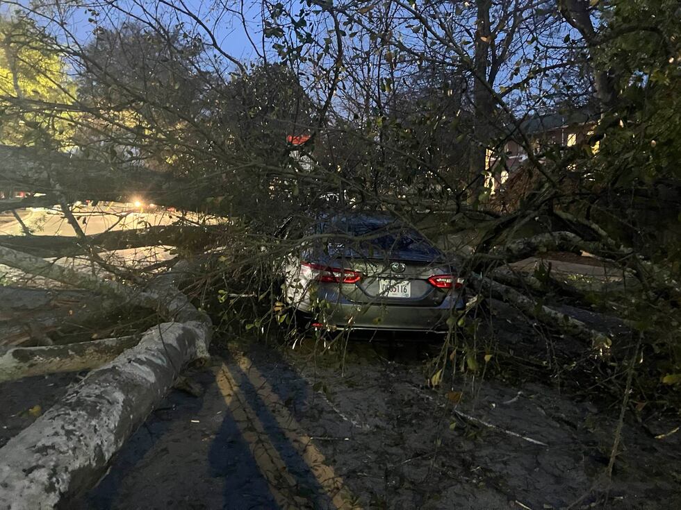 A car sits underneath a fallen tree on Ponce de Leon Avenue.