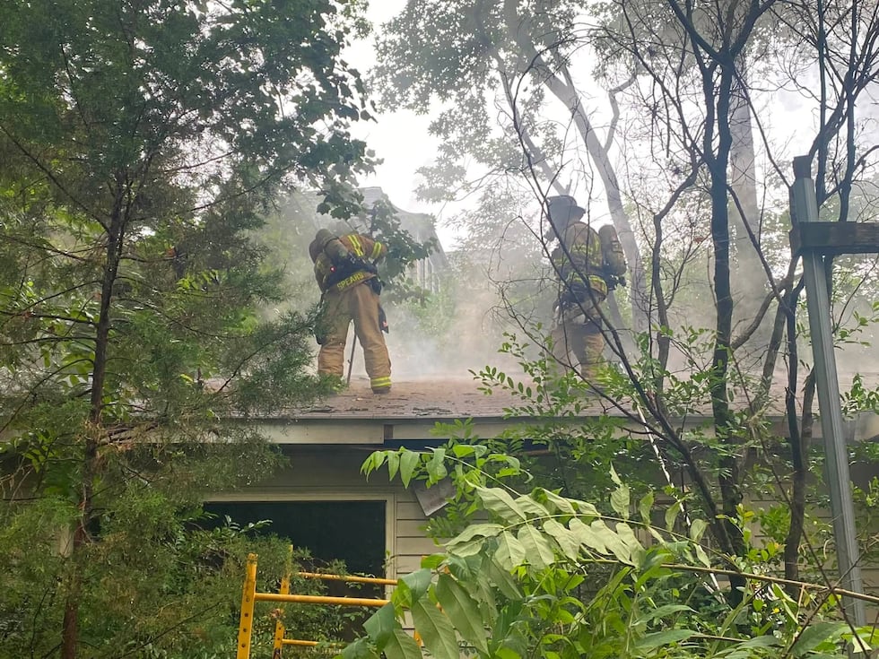 Roswell firefighters saved two cats from a house fire on Friday night.