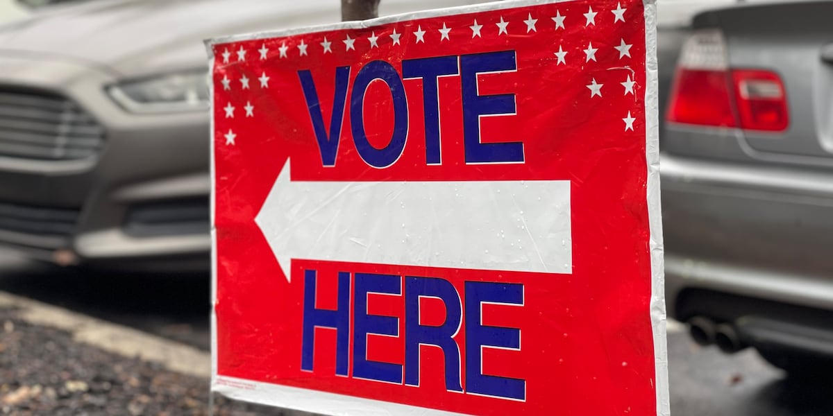 Everything to know about Georgia’s June runoff election