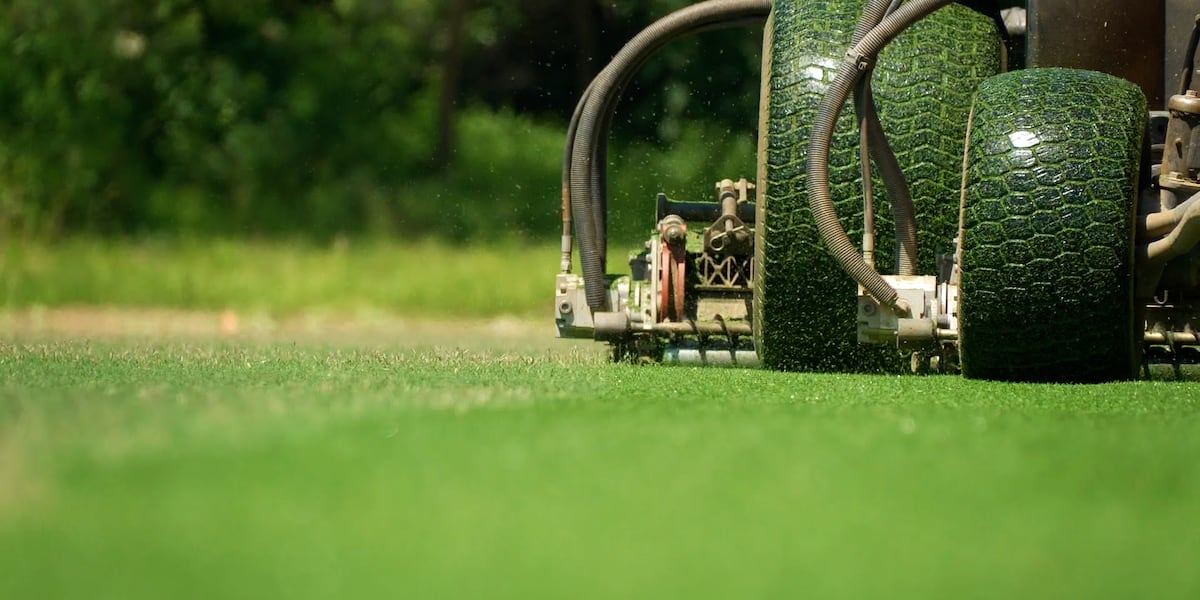 Georgia turf company maintaining World Cup pitches in Texas
