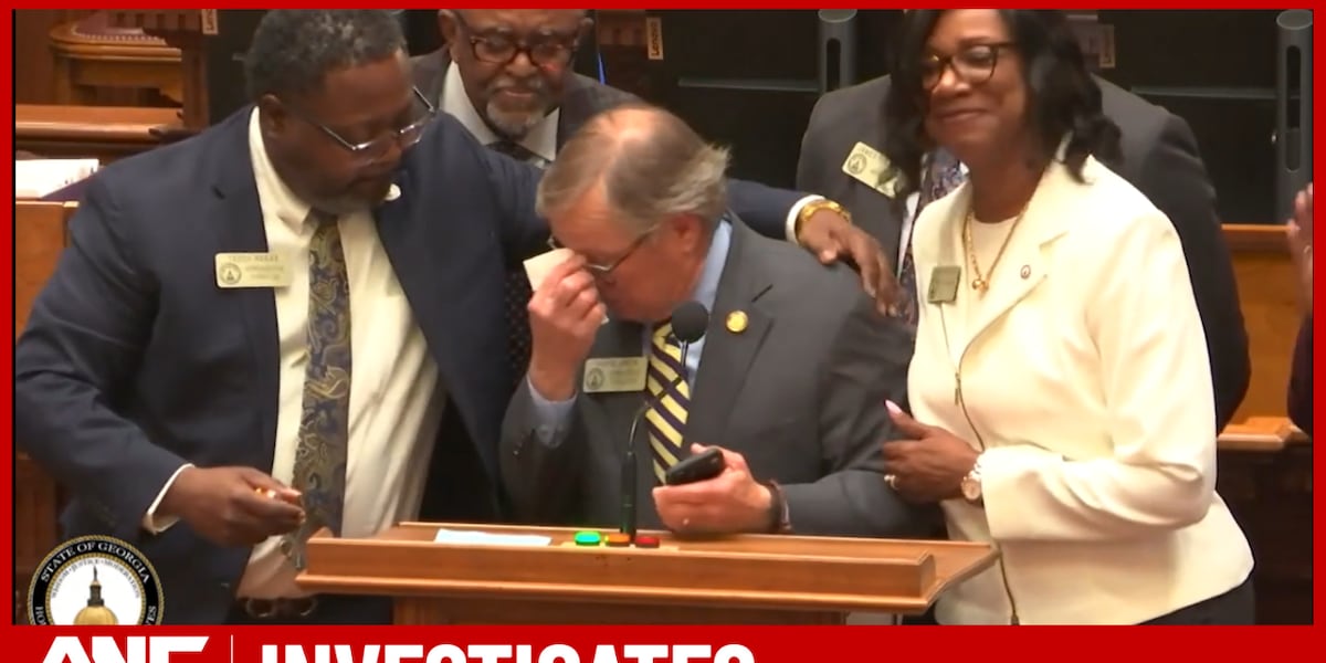 ‘It affects my family’: Georgia Senator speaks on losing job after voting against lawsuit reform ‘It affects my family’: Georgia Senator speaks on losing job after voting against lawsuit reform