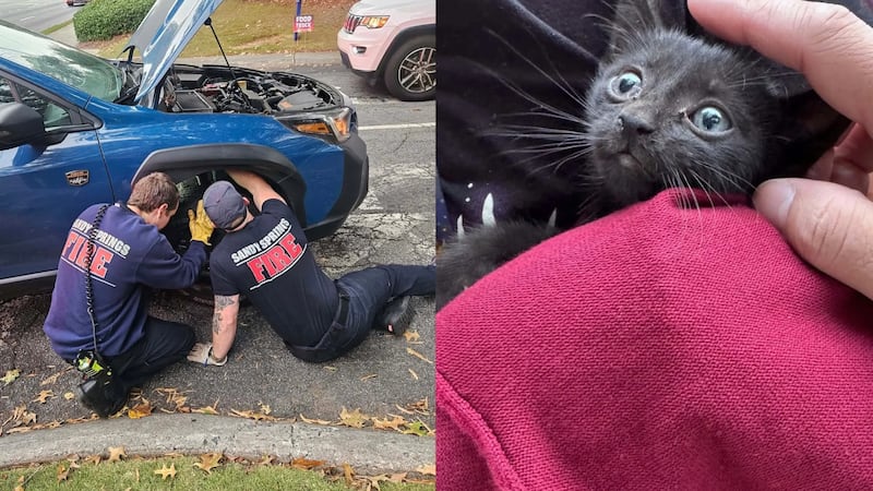 The Sandy Springs Fire Department saved a kitten stuck inside a car's shock absorber.