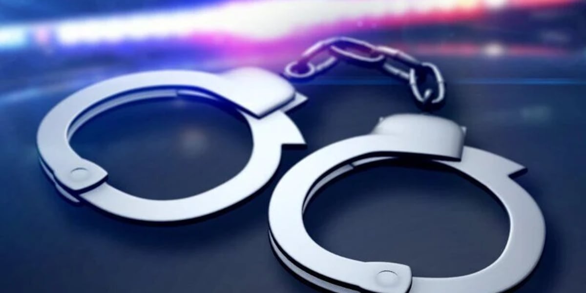 Suspect sought in brawl, bear spray incident that injured 15, Cobb County police say