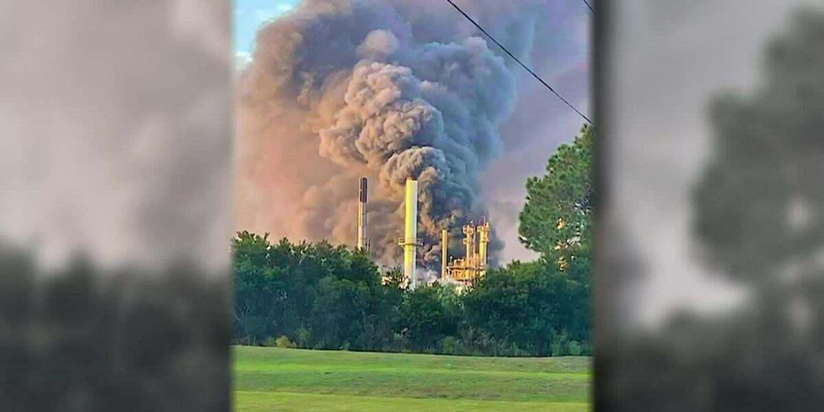 Georgia Science Lab Explosion A Georgia chemical plant that closed after erupting in flames in April ...
