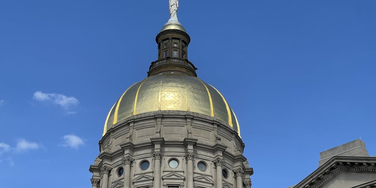 Affordable energy advocate sues police over access to Georgia Capitol