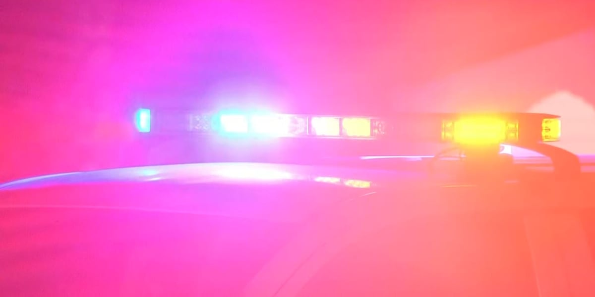 2 shot to death in apparent domestic incident, Oakwood police say