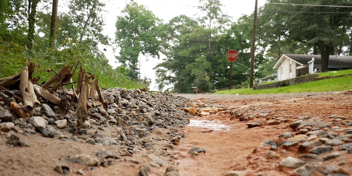 Atlanta City Council resolution targets city's unpaved roads