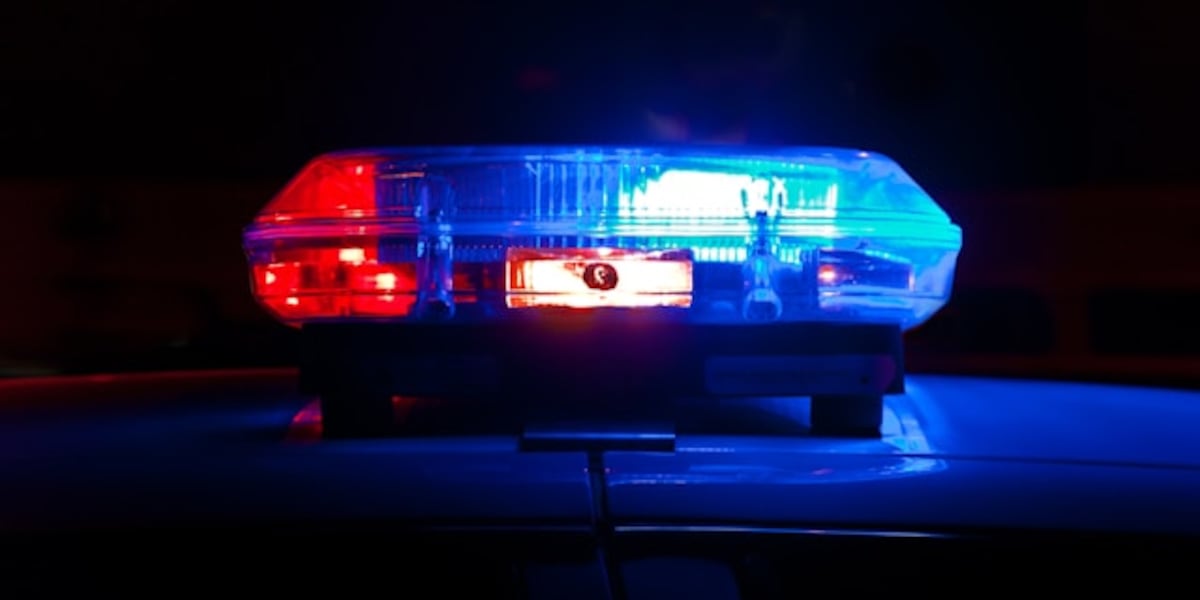 Arrest warrants issued after woman killed by dogs, LaGrange police say