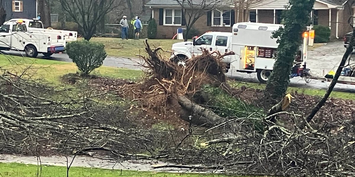 Severe storms tear down trees, damage homes in Cobb County