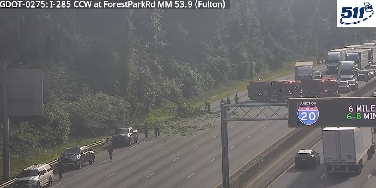 Fallen tree damages cars, blocks I-285 WB in Fulton County