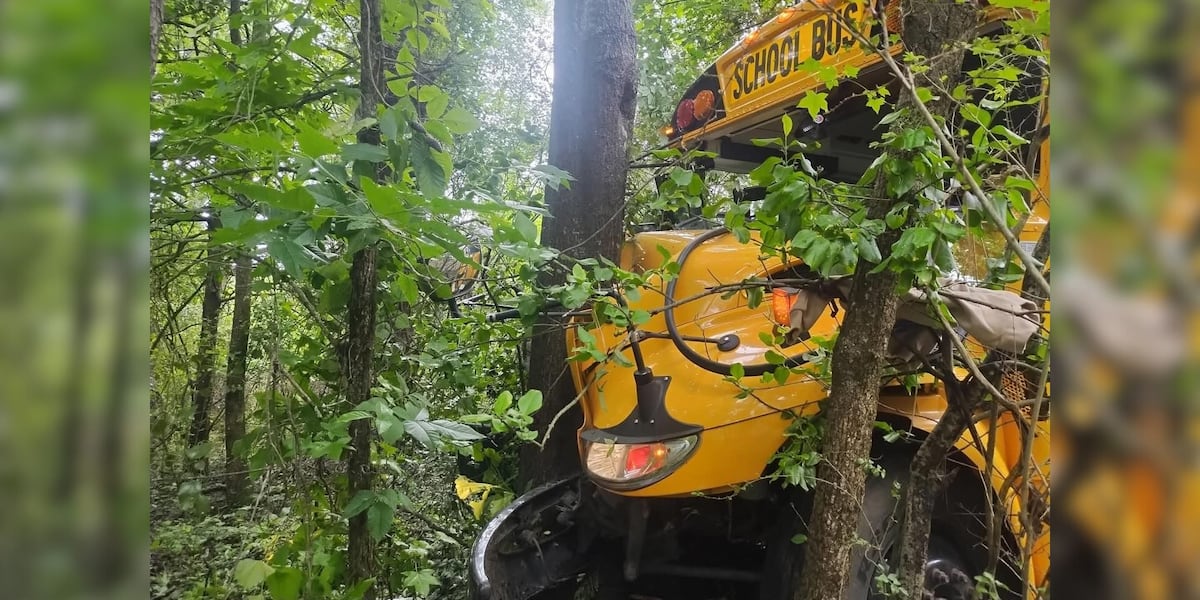North Georgia school bus crashes into tree, injuring students on board, district says North Georgia school bus crashes into tree, injuring students on board, district says