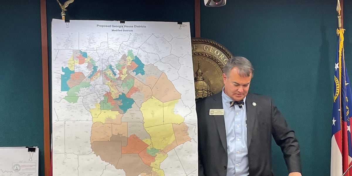 Under court order, Georgia lawmakers begin redrawing process of state’s ...