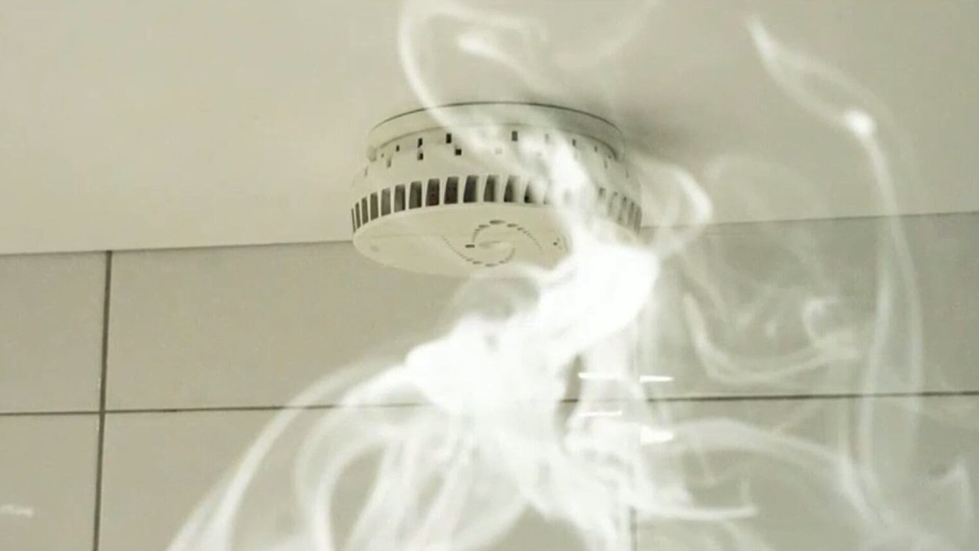 best non tobacco dip How Chicago-Based Black Buffalo Is Leading The Tobaccoless Dip Movement
