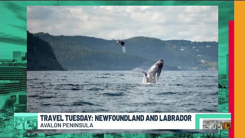 Newfoundland