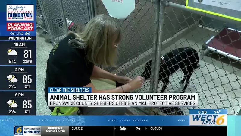 Clear the Shelters: Brunswick Co. Animal Shelter highlights volunteer program