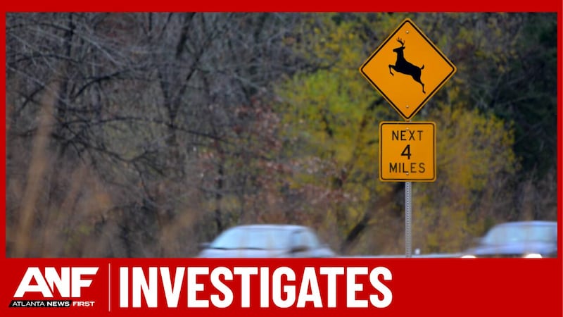 Georgia drivers face a 1-in-115 chance of hitting an animal as deer season peaks Oct-Dec....