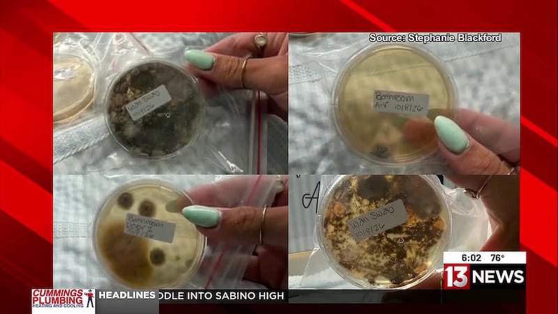 A mold outbreak has forced dozens of students to move out of a dorm at the University of...