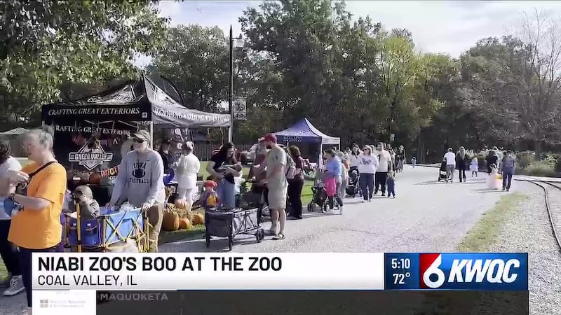 Niabi Zoo held its “Boo at the Zoo” event Saturday.