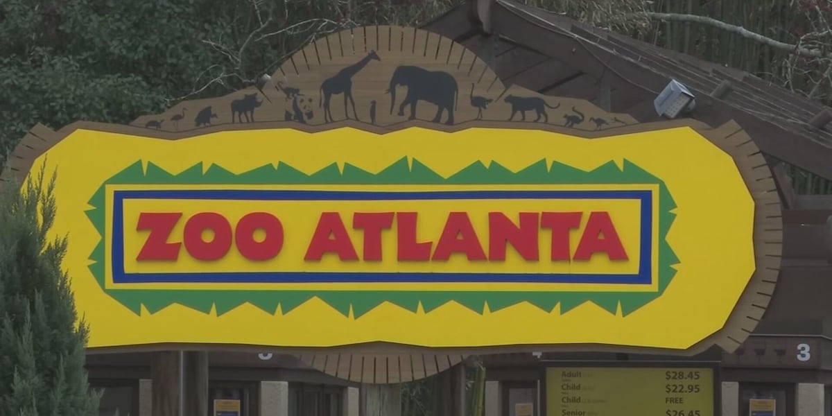 Zoo Atlanta welcomes 2 new animals to African Savanna habitat